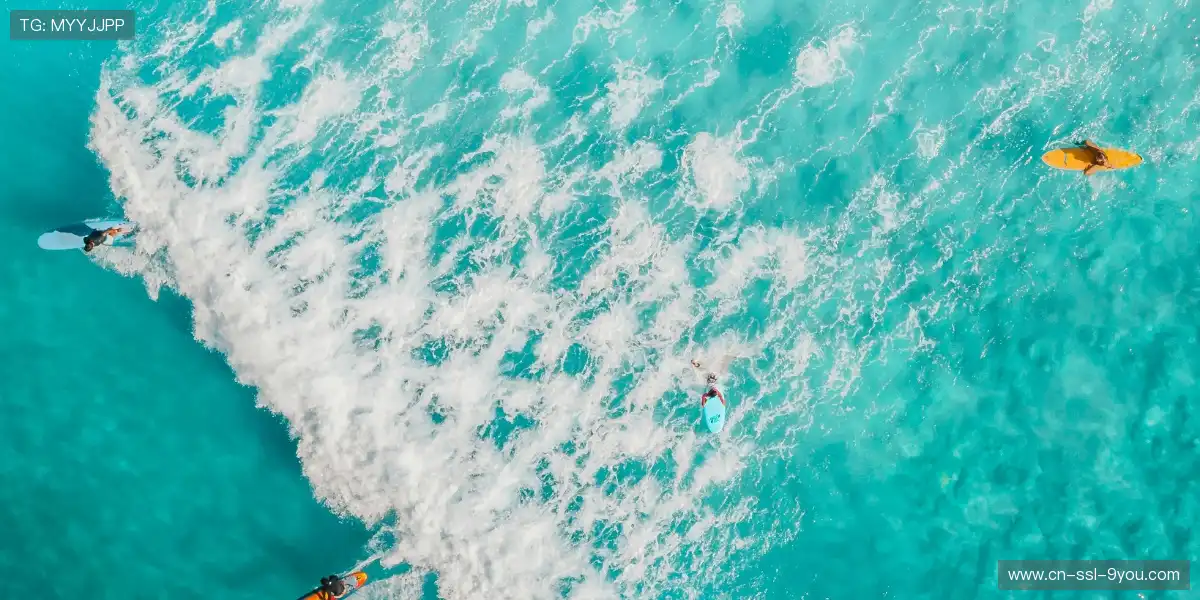 🏟️ 主客场氛围反差拉满，压迫感穿透屏幕，热血即刻引爆！💣